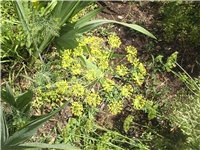2dc86506-Picture 014.jpg